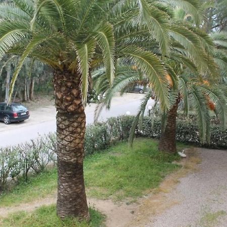 T2 Calvi Entierement Equipe A 150M De La Plage. Dış mekan fotoğraf