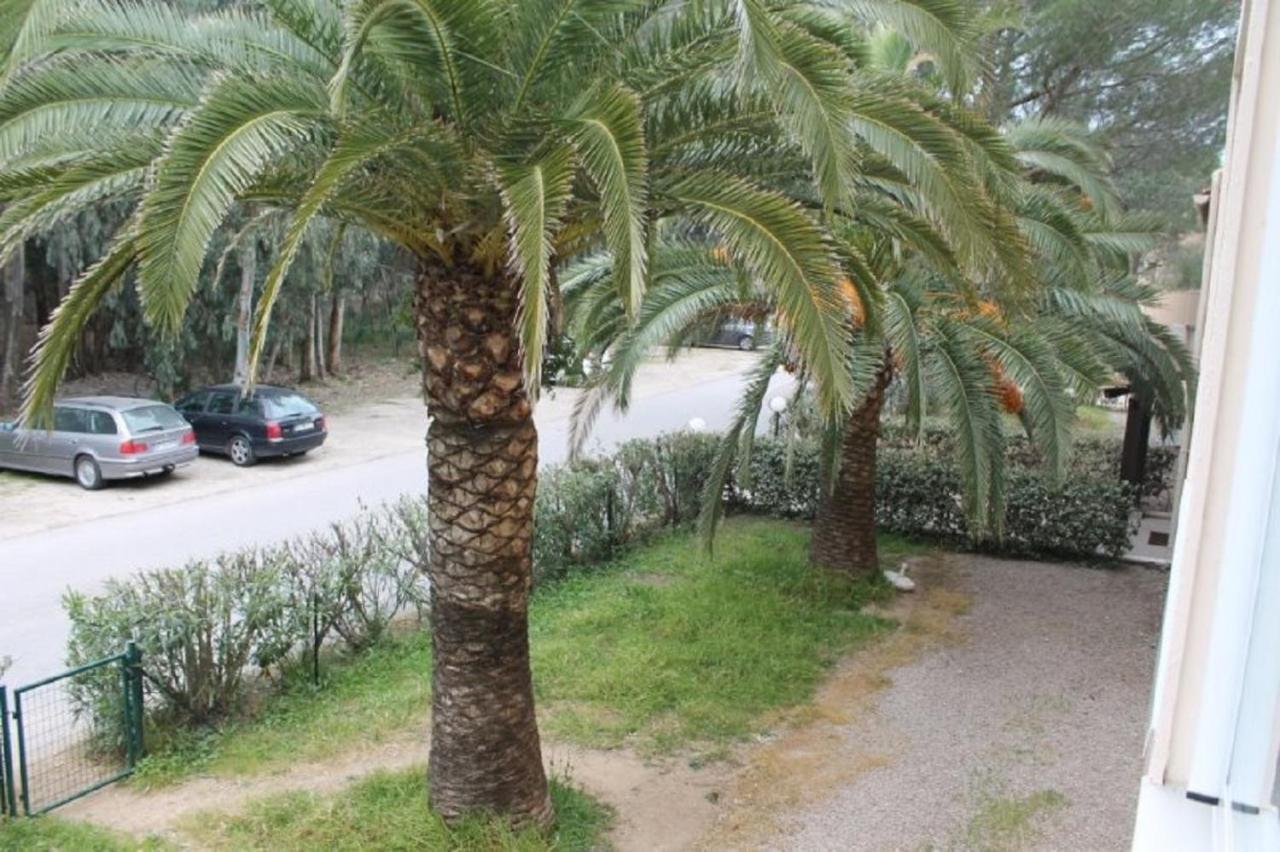 T2 Calvi Entierement Equipe A 150M De La Plage. Dış mekan fotoğraf