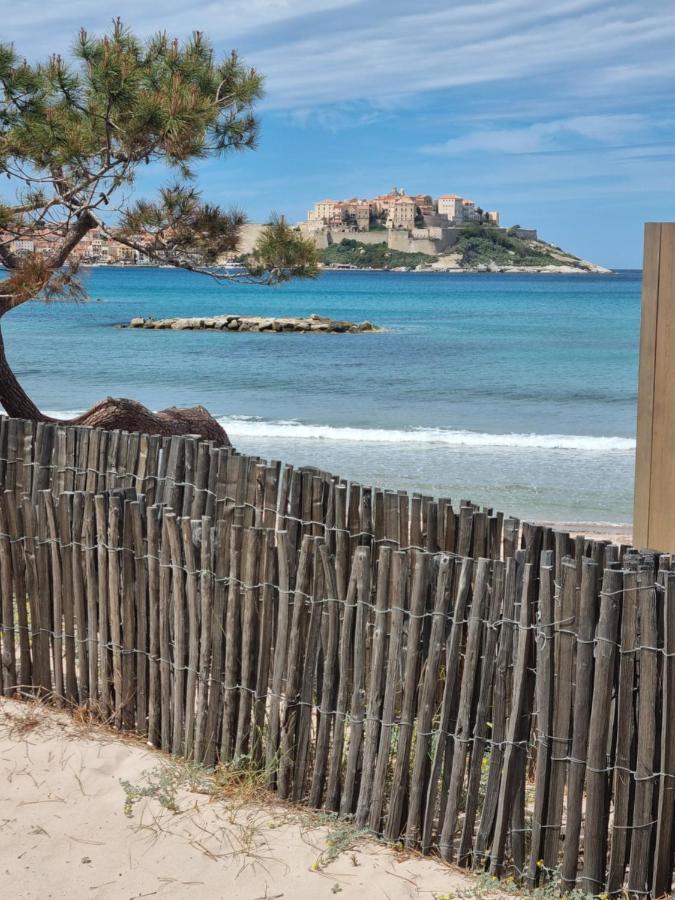 T2 Calvi Entierement Equipe A 150M De La Plage. Dış mekan fotoğraf